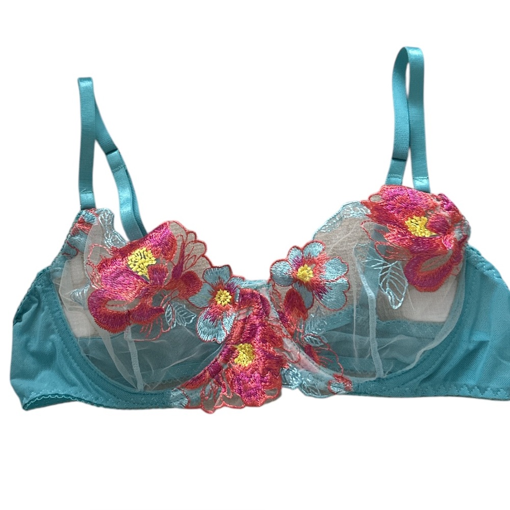 NWOT Blue and pink floral embroidered mesh bra size M